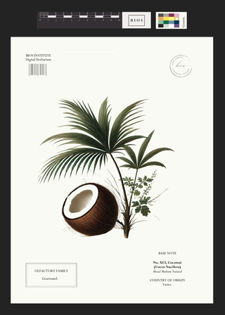 Coconut