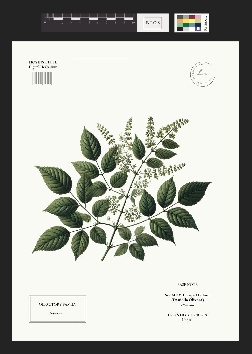 Copal Balsam BIOS APOTHECARY copal-balsam-bios-apothecary