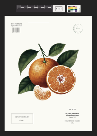 Tangerine