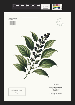 Pepper, Black
