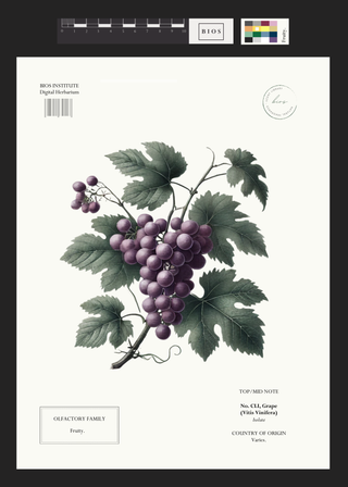 Grape