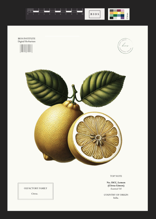 Lemon