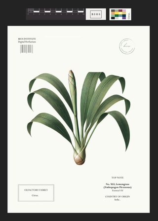 Lemongrass