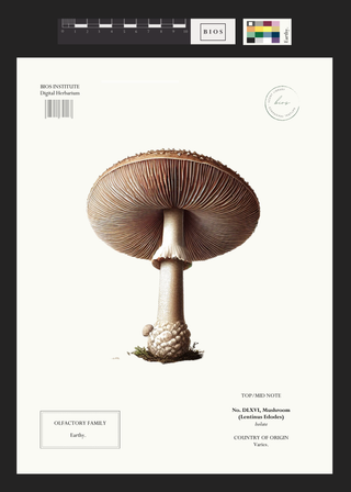 Mushroom