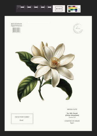 Neroli