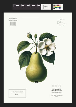 Pear