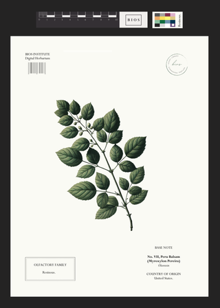 Peru Balsam