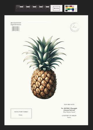 Pineapple
