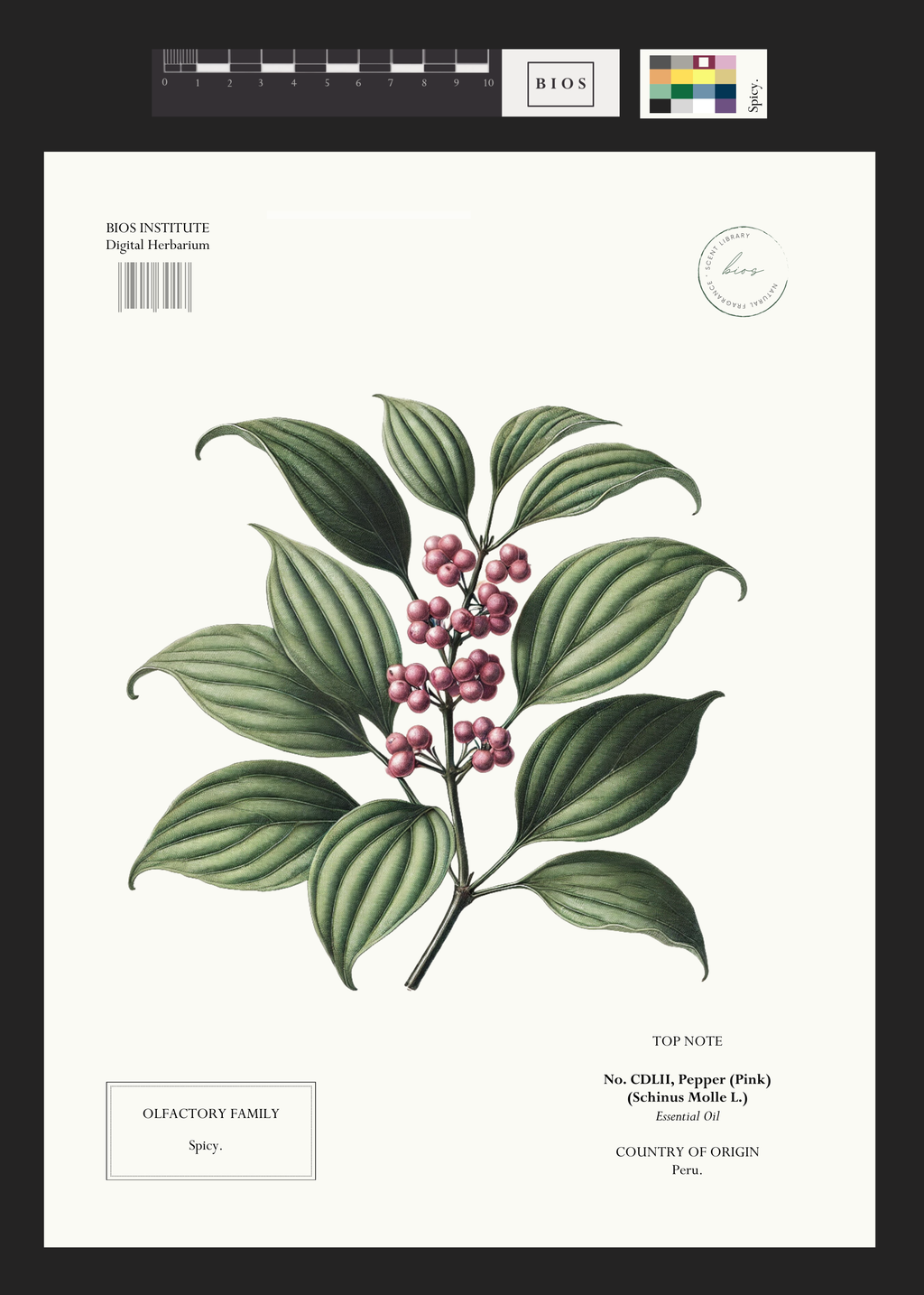 Pepper, Pink – BIOS APOTHECARY