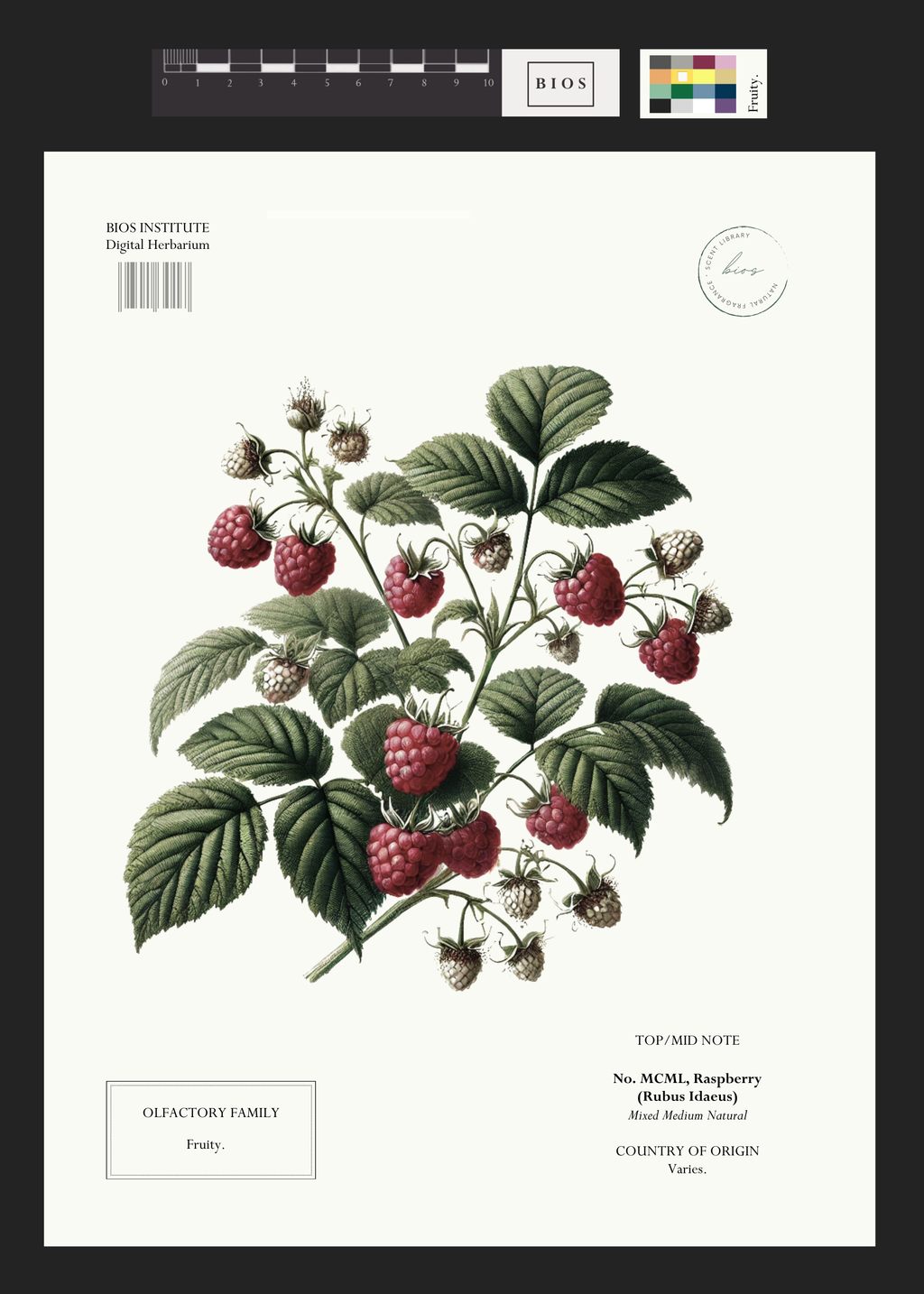 Raspberry – BIOS APOTHECARY