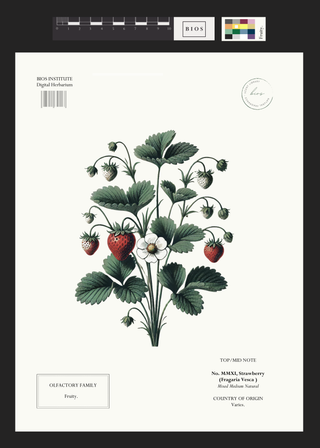 Strawberry