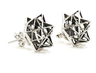 Framework Verahedra Stud Silver Earrings